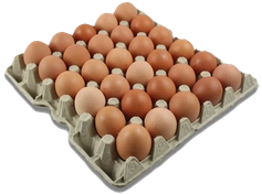 Eggs